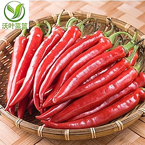 �t��(xi��n)����500g��